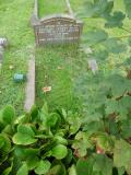 image of grave number 173268